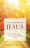 Encountering Jesus (eBook, ePUB)