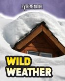 Wild Weather (eBook, PDF)