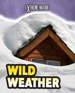 Cover Wild Weather (eBook, PDF)