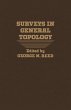 Surveys in General Topology (eBook, PDF) - Bild 1