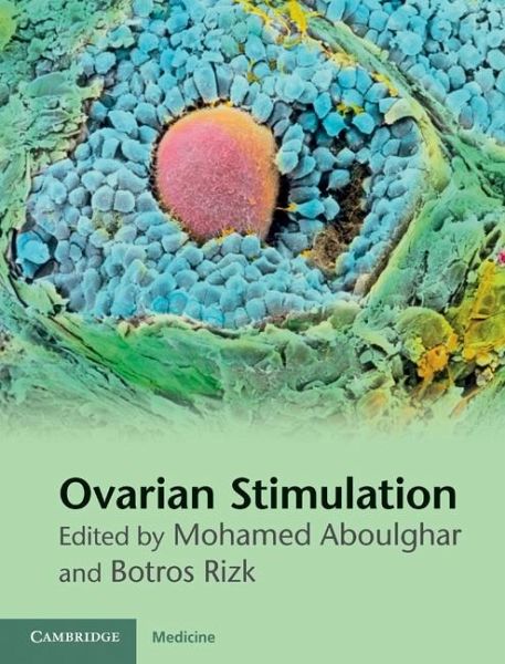 Ovarian Stimulation (eBook, ePUB)