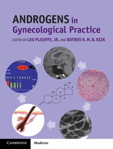 Androgens in Gynecological Practice (eBook, PDF)