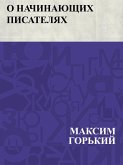 O nachinajushchikh pisateljakh (eBook, ePUB)