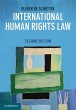 International Human Rights Law (eBook,... - Bild 1