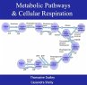Metabolic Pathways & Cellular... - Bild 1