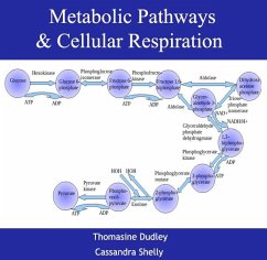 Cover Metabolic Pathways & Cellular Respiration (eBook, PDF)