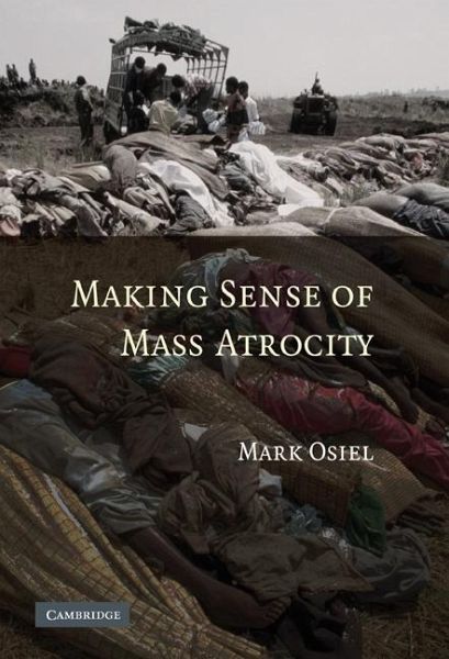 Making Sense of Mass Atrocity (eBook, ePUB)