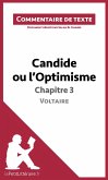 Candide ou l'Optimisme de Voltaire - Chapitre 3 (eBook, ePUB)