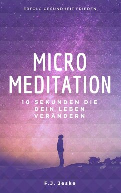 Micro Meditation (eBook, ePUB) - Jeske, F. J.
