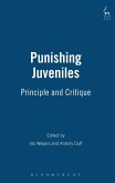 Punishing Juveniles (eBook, PDF)