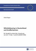 Whistleblowing in Deutschland und Grobritannien (eBook, PDF)