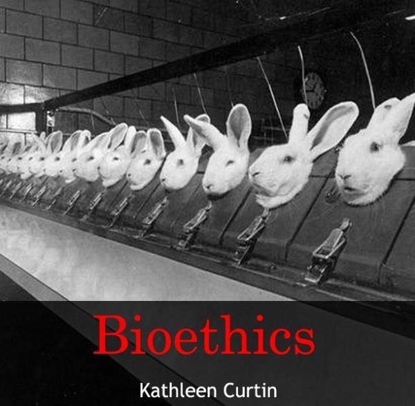 Bioethics (eBook, PDF)