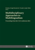 Multidisciplinary Approaches to Multilingualism (eBook, PDF)