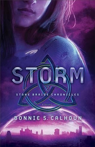 Storm (Stone Braide Chronicles Book #3) (eBook, ePUB)
