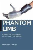 Phantom Limb (eBook, PDF)