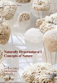 Naturally Hypernatural I: Concepts of Nature (eBook, ePUB)