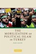 Mobilization of Political Islam in... - Bild 1