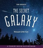Secret Galaxy (eBook, PDF) Secret Galaxy (eBook, PDF)
