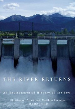 Cover River Returns (eBook, PDF)