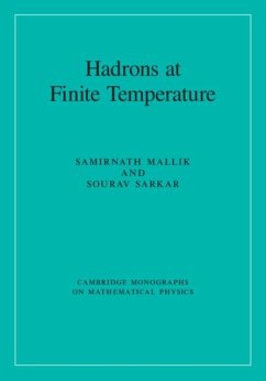 Cover Hadrons at Finite Temperature (eBook, PDF)