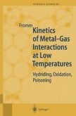 Kinetics of Metal-Gas Interactions at Low Temperatures (eBook, PDF)