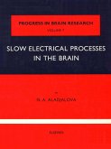 Slow Electrical Processes in the Brain (eBook, PDF)