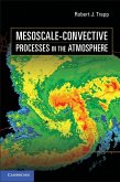 Mesoscale-Convective Processes in the Atmosphere (eBook, ePUB)