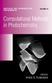 Computational Methods in Photochemistry (eBook, PDF)