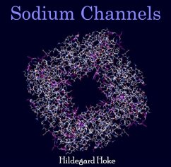 Cover Sodium Channels (eBook, PDF)
