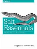Salt Essentials (eBook, ePUB)
