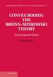 Convex Bodies: The Brunn-Minkowski... - Bild 1