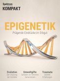 Spektrum Kompakt - Epigenetik 2 (eBook, PDF)