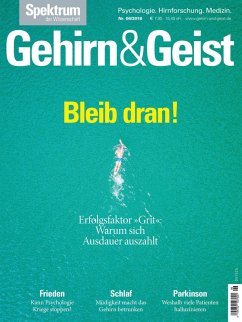 Gehirn&Geist 6/2018 Bleib dran! (eBook, PDF)