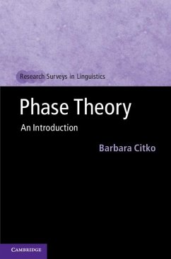 Cover Phase Theory (eBook, ePUB)