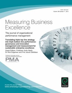 Cover Translating Triple Top Line Strategy into Triple Bottom Line Performance (eBook, PDF)