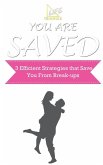 You Are Saved (3 Efficient Strategies that Save You from Break-ups) (eBook, ePUB)