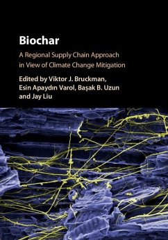 Cover Biochar (eBook, ePUB)