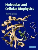 Molecular and Cellular Biophysics (eBook, ePUB)