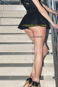 Stranger On A Train (eBook, ePUB) - Steens, Cc