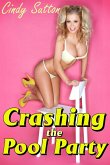 Crashing the Pool Party (eBook, ePUB)