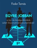 Egyre jobban a kis- és középvállalatok üzleti folyamatmenedzsmentjével (eBook, ePUB)