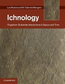 Ichnology (eBook, ePUB)