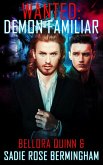 Demon Familiar (eBook, ePUB)
