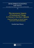 Microeconomic Impacts of Institutional Change in Vietnam's Northern Uplands (eBook, PDF)