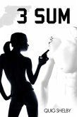 3 SUM (eBook, ePUB)