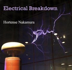 Cover Electrical Breakdown (eBook, PDF)