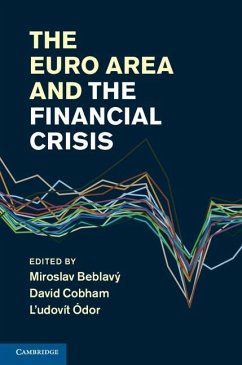 Euro Area and the Financial Crisis (eBook, ePUB)