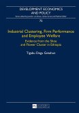 Industrial Clustering, Firm Performance and Employee Welfare (eBook, ePUB)