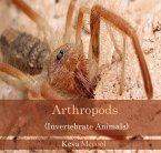 Arthropods (Invertebrate Animals) (eBook, PDF)