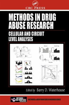 Cover Methods in Drug Abuse Research (eBook, PDF)